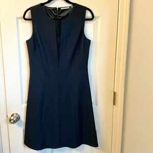 Sleek sleeveless dress by T Tahari
